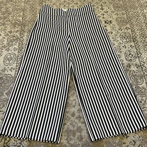 Express Side Zip Pant